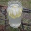 lemonade