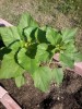 Photo0036